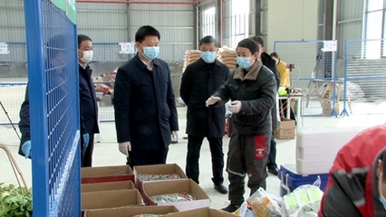 房县科技特派员一线显担当，防疫生产两不误，家禽技术服务精准护航