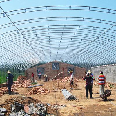 华夏棚业 专业家禽养殖大棚建设与服务