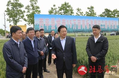 朱是西深入西平调研现代农业发展 聚焦家禽技术服务，助力产业提质增效